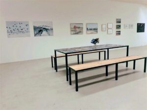 zomerexpositie galerie de Vlaamse Schuur Frans Ermens